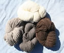 click here for yarn